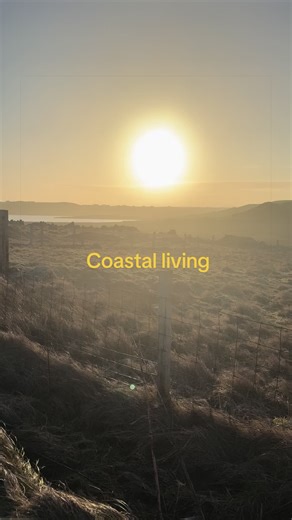 Embracing the Power of Nature in Coastal Living