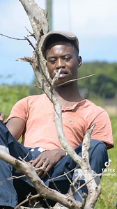 48K views · 4.5K reactions | Ngipholise Album Coming Soon ——— | Jumbo | Facebook