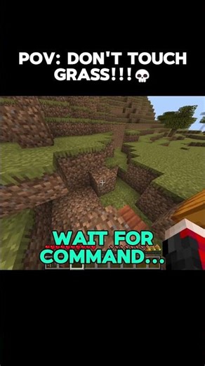 Minecraft Commands: Don't Touch grass💀