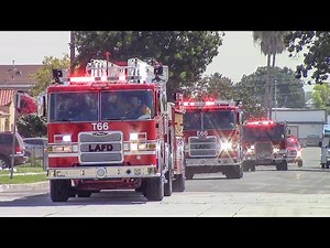 LAFD Task Force 66 & Battalion 13