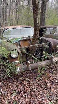 ABANDONED CHEVY TRI FIVE #automobile #automotive #chevrolet #abandoned #explore #classic #car #cars