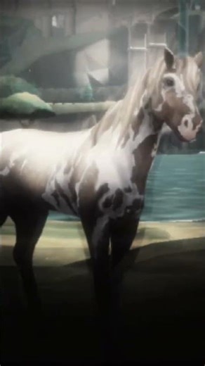 #wildshade #wildcraft