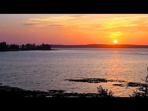 Sunset to Night on the Coast – Maine Soundscape in Addison, ME (4K)
