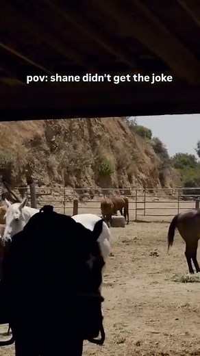 37K views · 1.4K reactions | Watcher on Reels | Facebook