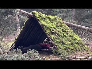 Build a Survival Shelter From a Fallen Tree - Bushcraft Skills - Overnight Solo Camping