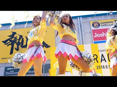 [4K Fancam] Tigers Girls Hanshin Tigers Cheerleader Dance performance Baseball