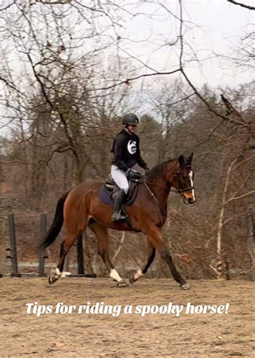 Indy's 7th Training Ride Progress