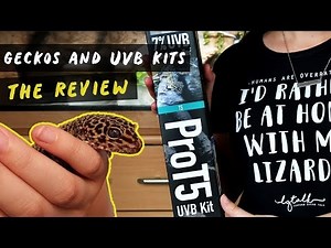 What UV System Do I Use?! - Arcadia Reptile's ProT5 Kit!