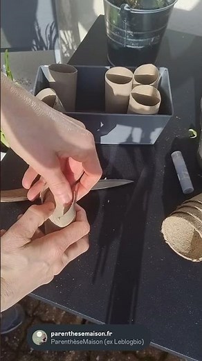 Tuto DIY pour préparer vos semis sans utiliser de pots en plastique ? 🌿