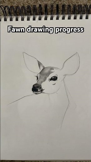 Fawn drawing progress