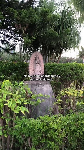 #xbcyza #parati #foryou #contenido #viral #foryoupage