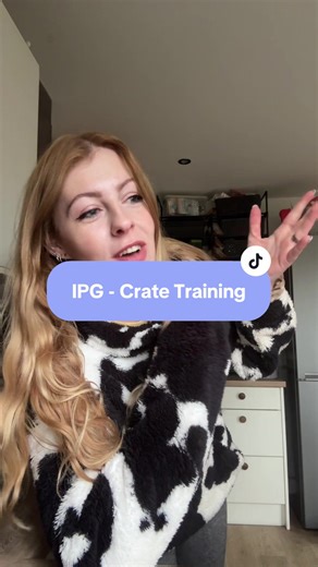 Essential Guide to Crate Training Your Dog