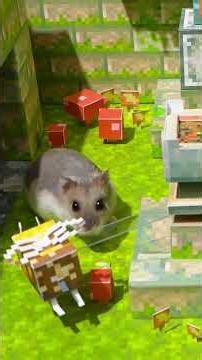 Hamster vs Granny | Minecraft Dungeons Soggy Swamp #hamster #cutepets #animals #hamsterescape #pets