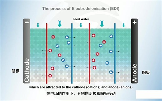 电去离子水处理原理（EDI）
