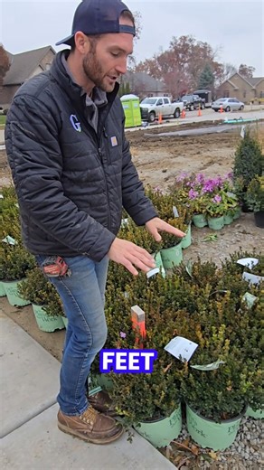 15 reactions | Bringing our client’s vision to life—where every corner opens to a breathtaking landscape and the outdoors feel truly limitles! | Groen Homescape | Facebook