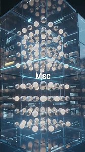 What is a DBMS?