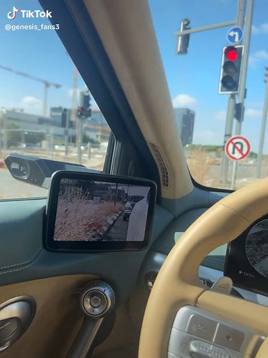 Genesis fans ב-TikTok