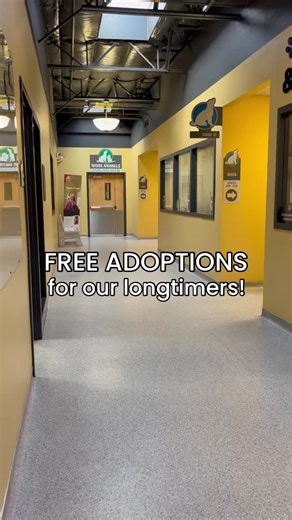 71K views · 1.8K reactions | Our long timers are dogs who have been...