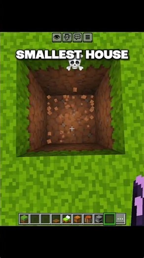 Minecraft smallest house💀
