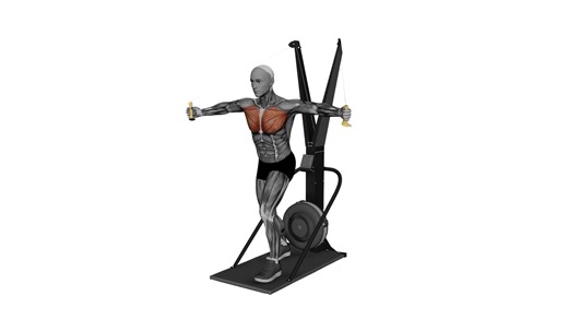 Ski Ergometer Cross Country Ski Flyes