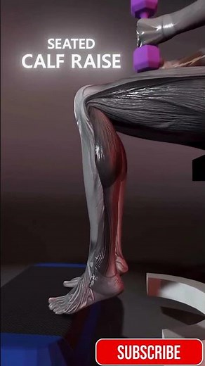 🔥 Calf Workout at Home | Build Strong & Toned Calves!