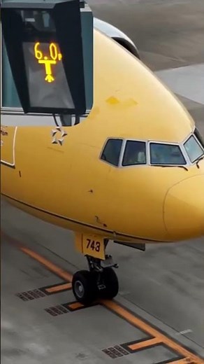 ANA Star Wars Boeing 777 Arrival | VDGS Precision at Fukuoka Airport