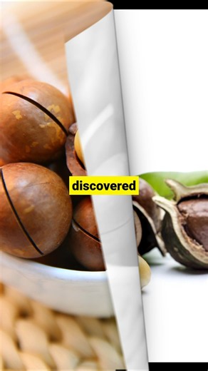Macadamia “Waste” Could Become Future Medicine