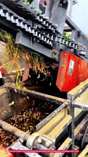 automatic peanut harvesting machine 1200 mm digging width-high efficiency groundnut lifter system