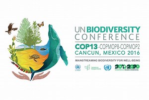 4.4K views · 66 reactions | Rio’s Earth Summit of 1992 heralded the...