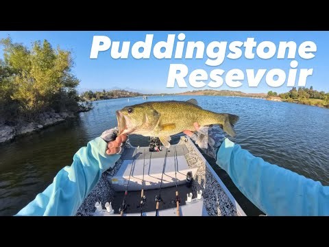 Puddingstone Reservoir Bass Fishing | 07/01/26