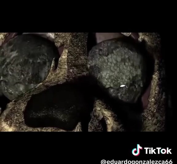 Respuesta a @matix_wss La reunión con William afton parte 7 #fivenightsatfreddys #fnaf #williamafton #springtrap #animatronics