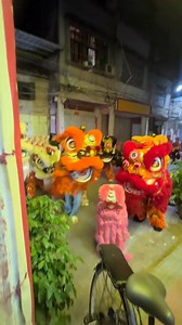 When a young “#lion cub” wandered into the lion dance troupe, the "adult lions" eagerly approached, inviting "it" to play together. The scene was heartwarming and also showcased the significance of cultural transmission. #liondance #chinese #chinaculture (cr: douyin F_Q.2000.) | T-Time HK
