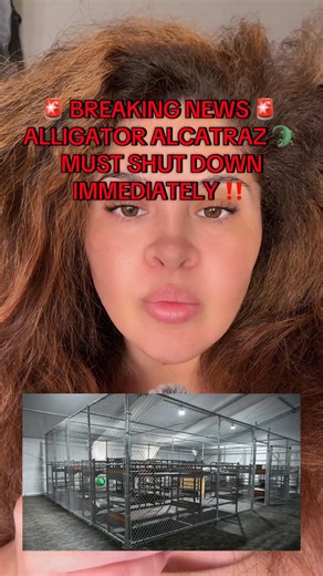 Breaking news: alligator Alcatraz must shut down immediately and here’s why! | Carmen Raygoza