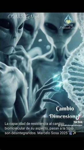 Consigna Maktub 1966 Cambio Dimensional 26/12/2025