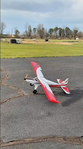 A WINDY day with the E-flite Turbo Timber SWS 2.0m!
