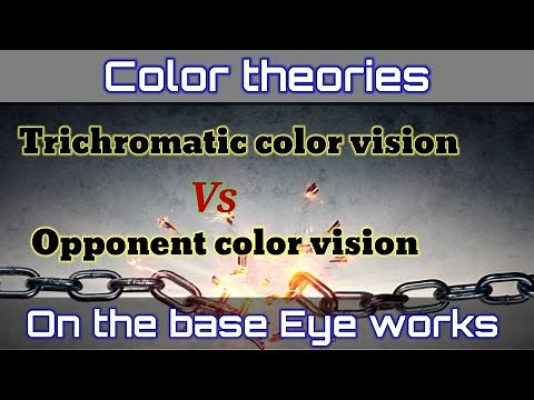 Theories of Color vision| Trichromatic theory of | Opponent Process theory|Life Psychology