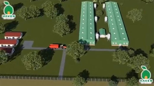 4.9K views · 37 reactions | Project: Poultry Farm Layout Design We...