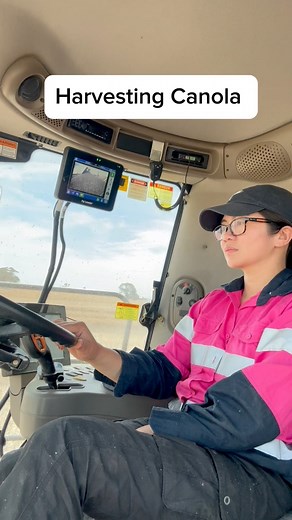 1.6M views · 19K reactions | Harvesting Canola #fypシ゚viralシ #reelsfypシ #harvest #canola | Farm Life in Australia “Dai Meraflor” | Facebook