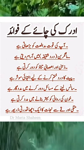 106K views · 853 reactions | #adrak ke chai ☕ ke fayde ❤️ #benefits of ginger tea #viralreelschallenge #reelsfypシ #facebookviral #fb #fitness | Dr. Maria Shaheen | Facebook