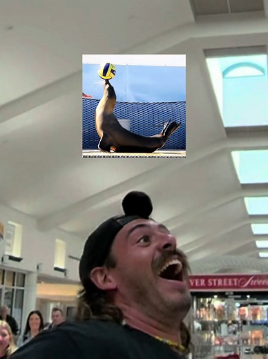 Sea Lion Hacky Sack Trick with Brett Sanchez — Epic Round Replay