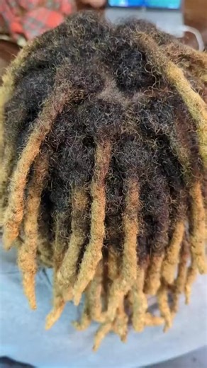 John dreadlocks salon (@johndreadlock96)’s videos with original sound - John dreadlocks salon