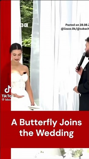 A Butterfly Joins the Bride and Groom | Magical Wedding Moment 🦋💍