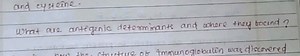 and cysteine.What are antigenic determinants and where they to... | Filo