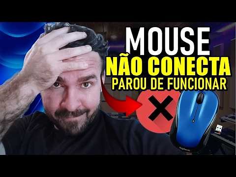 Is your mouse not connecting or has it stopped working on your laptop or PC? Learn how to fix it!