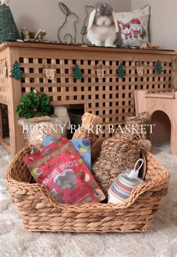 Ronnietheminilop on TikTok