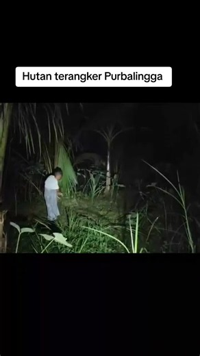 Dalam explornya di hutan Purbalingga, kang Rais mendapati nenek nenek sedang menabur benih di ladang malam malam, bagaimana kisahnya simak #creepy #mistis #misterio #fypシ #botcrmisteri
