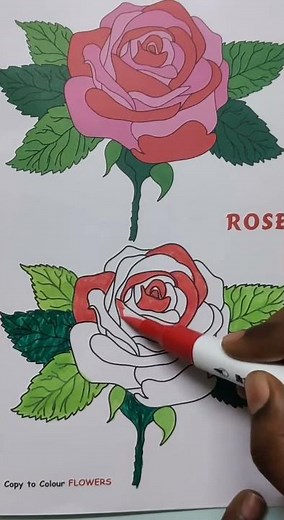 Easy Rose Colouring Drawing for Kids | Beautiful Flower Coloring Page