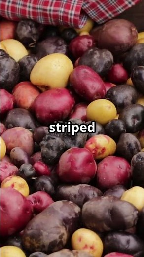 Which Country Has Over 4,000 Types of Potatoes?😲