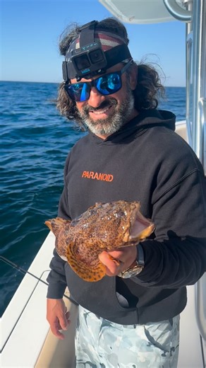 🐡😂 The Mighty Toadfish: Nature’s Grumpiest Little Gremlin 😂🐡 If you ever wondered what happens when God mixes a fish, a toad, and pure attitude… you get the toadfish. This little dude is the neighborhood troll of the ocean. And I say that with love. One love. 💙 Toadfish are the guys hiding under docks, rocks, and anything they can wedge their grumpy bodies under. They sit there all day like, “Don’t come near me… unless you want problems.” Meanwhile their face looks like they just smelled yo