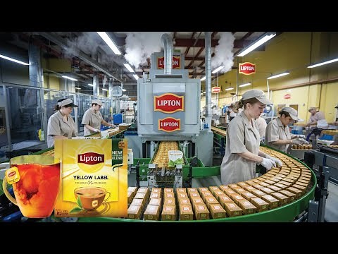 How Lipton Tea Is Made in the factory? | Factory Made